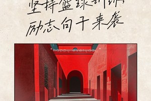 为什么追求篮球成功需要长期坚持训练:从基础到卓越的必经之路